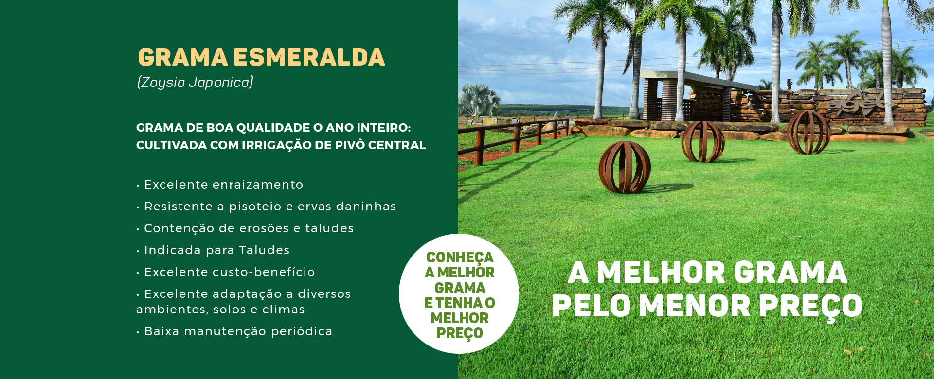 Gramas Esmeralda, Gramas São Carlos e Bermudas em Divinópolis | Ageo Gramas